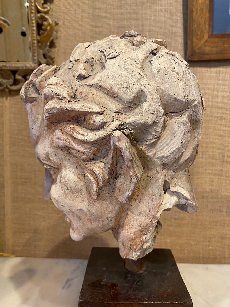 Terracotta Fauna Head-photo-4