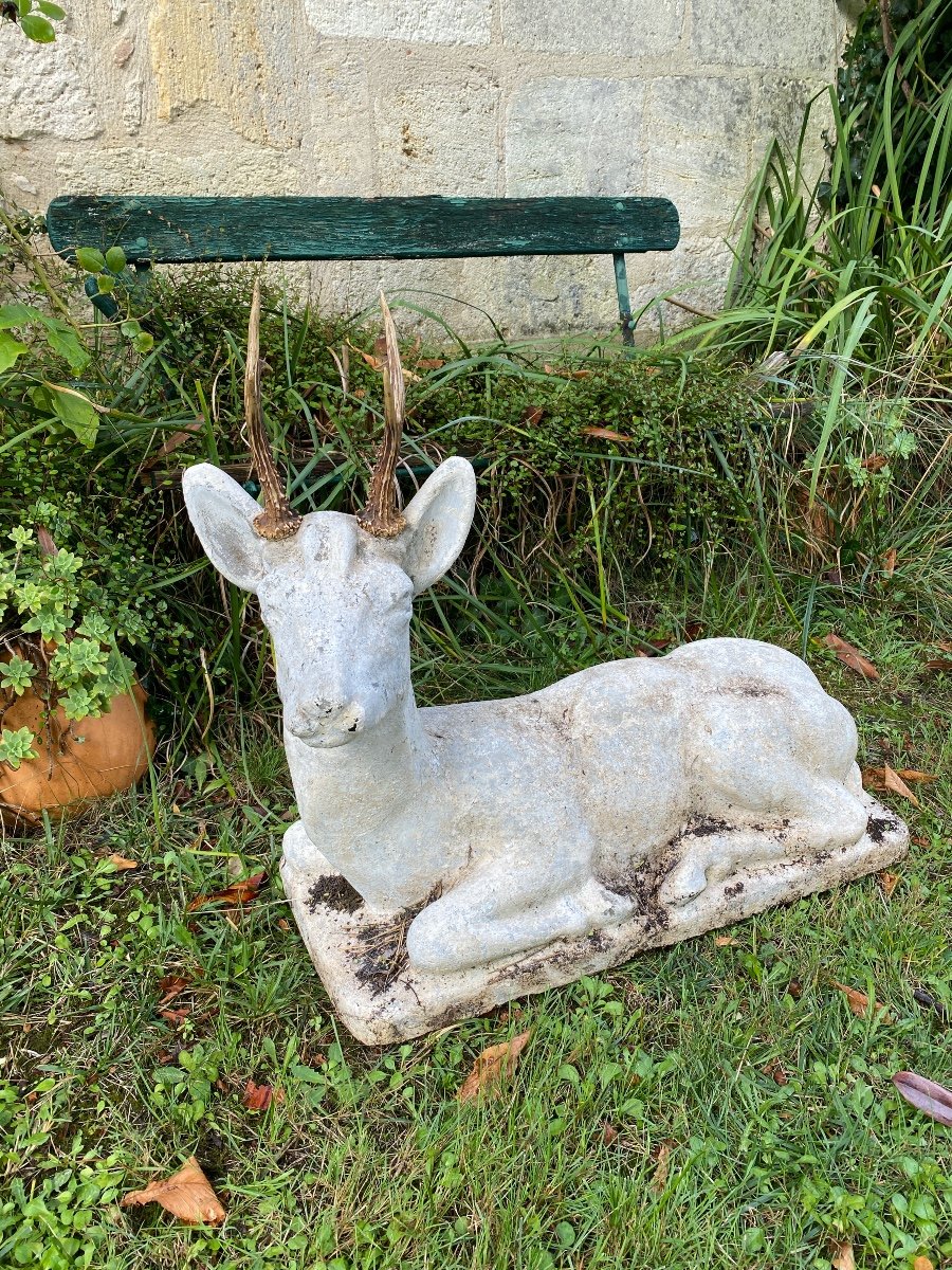 Chevreuil couché sur son socle-photo-2