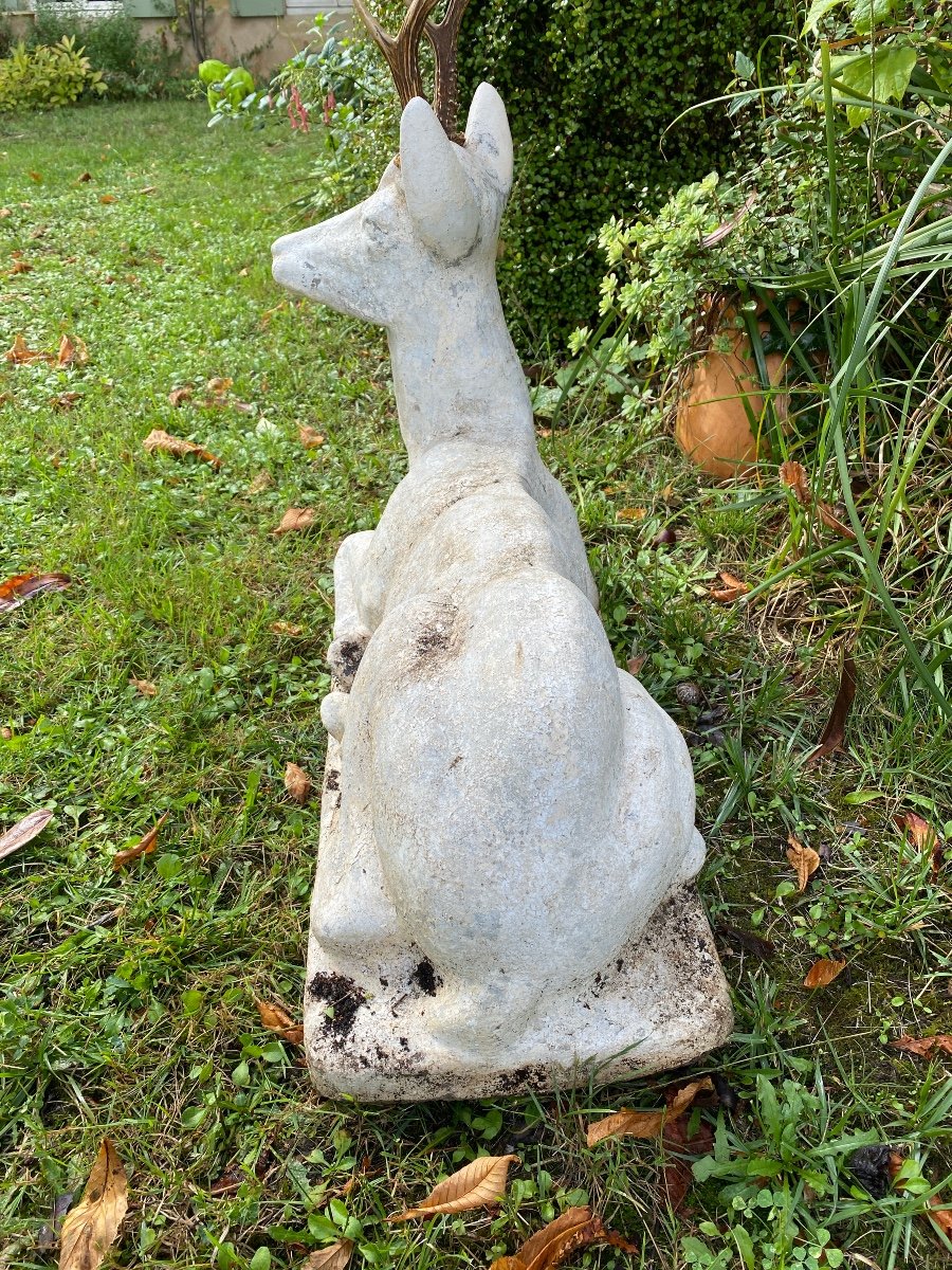 Cement Deer-photo-3