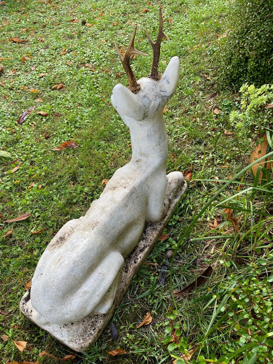 Chevreuil couché sur son socle-photo-4