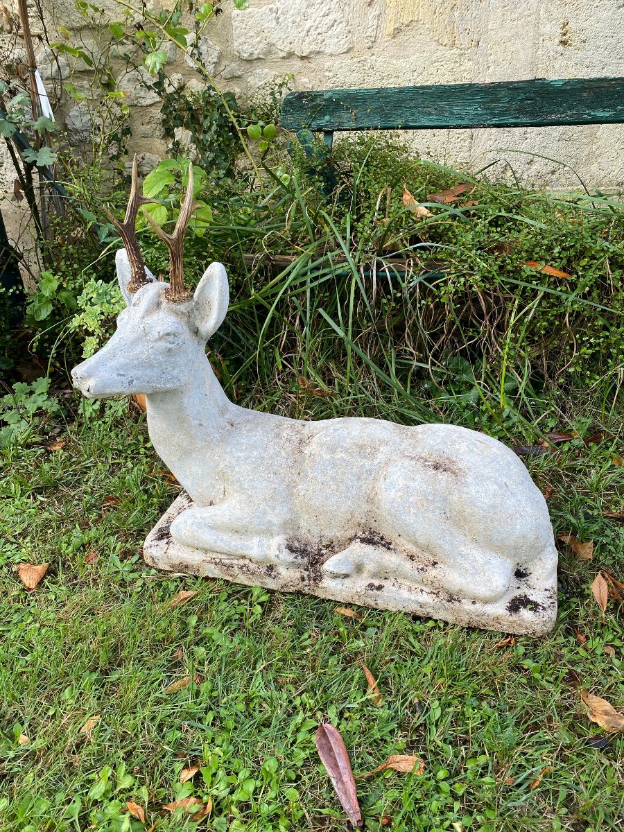 Chevreuil couché sur son socle