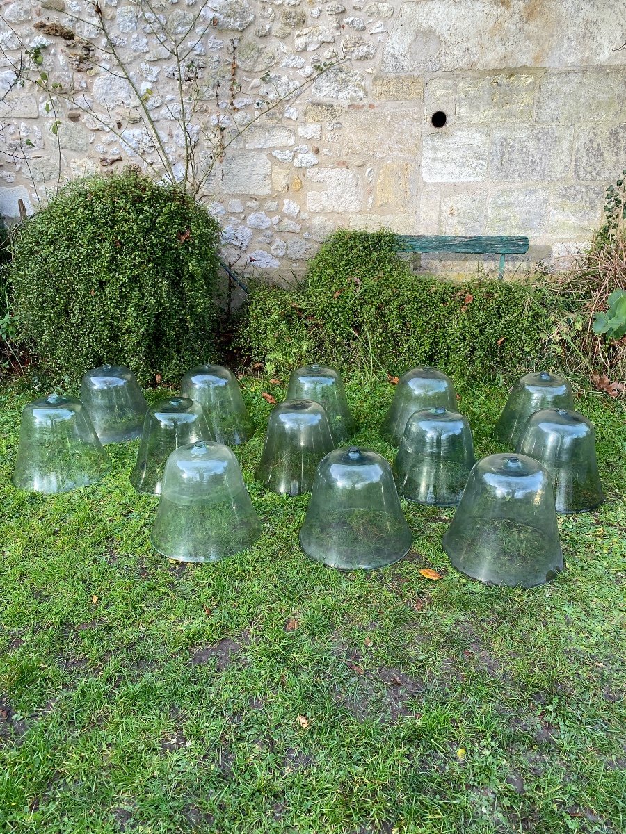 Cloches De Jardin, Cloches De Jardinier, Cloches à Melon En Verre Soufflé XIXè-photo-4