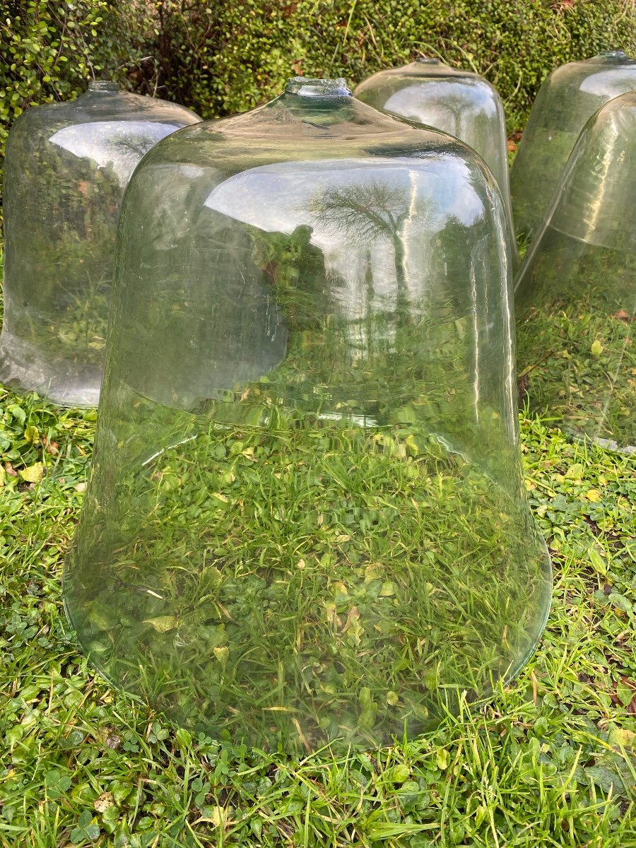 Cloches De Jardin, Cloches De Jardinier, Cloches à Melon En Verre Soufflé XIXè