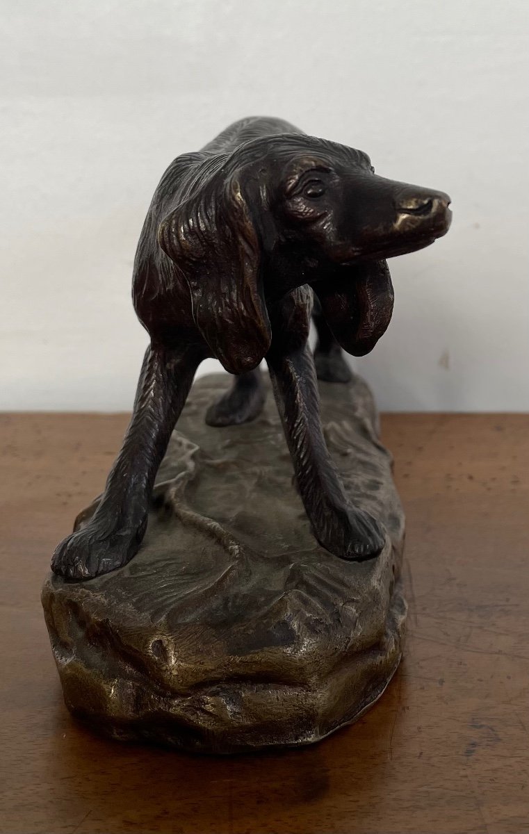 Bronze Spaniel With Brown Patina -photo-2