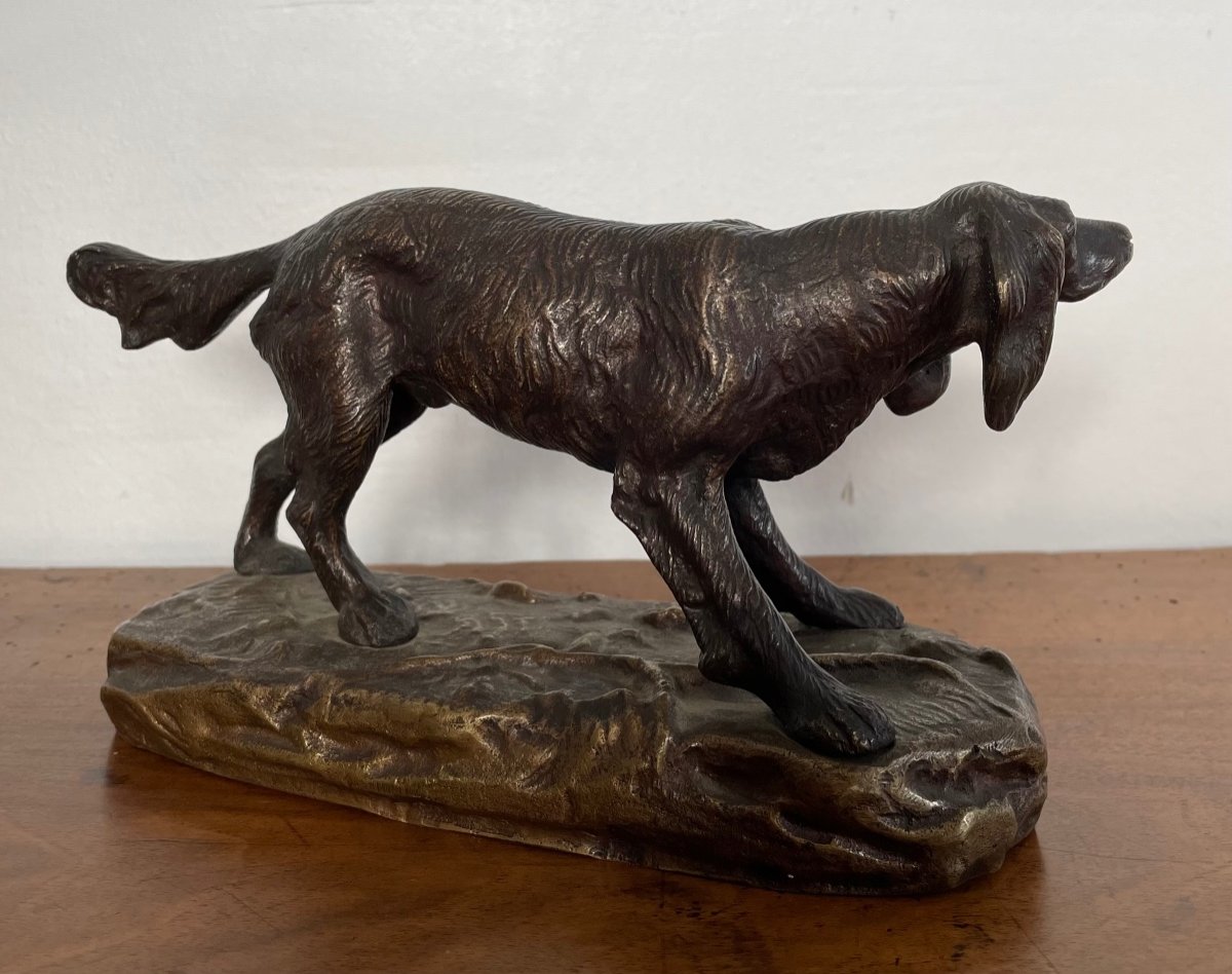 Bronze Spaniel With Brown Patina -photo-3