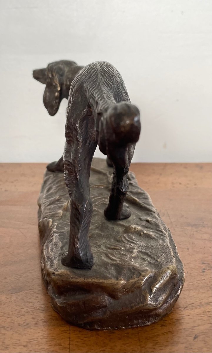 Bronze Spaniel With Brown Patina -photo-4