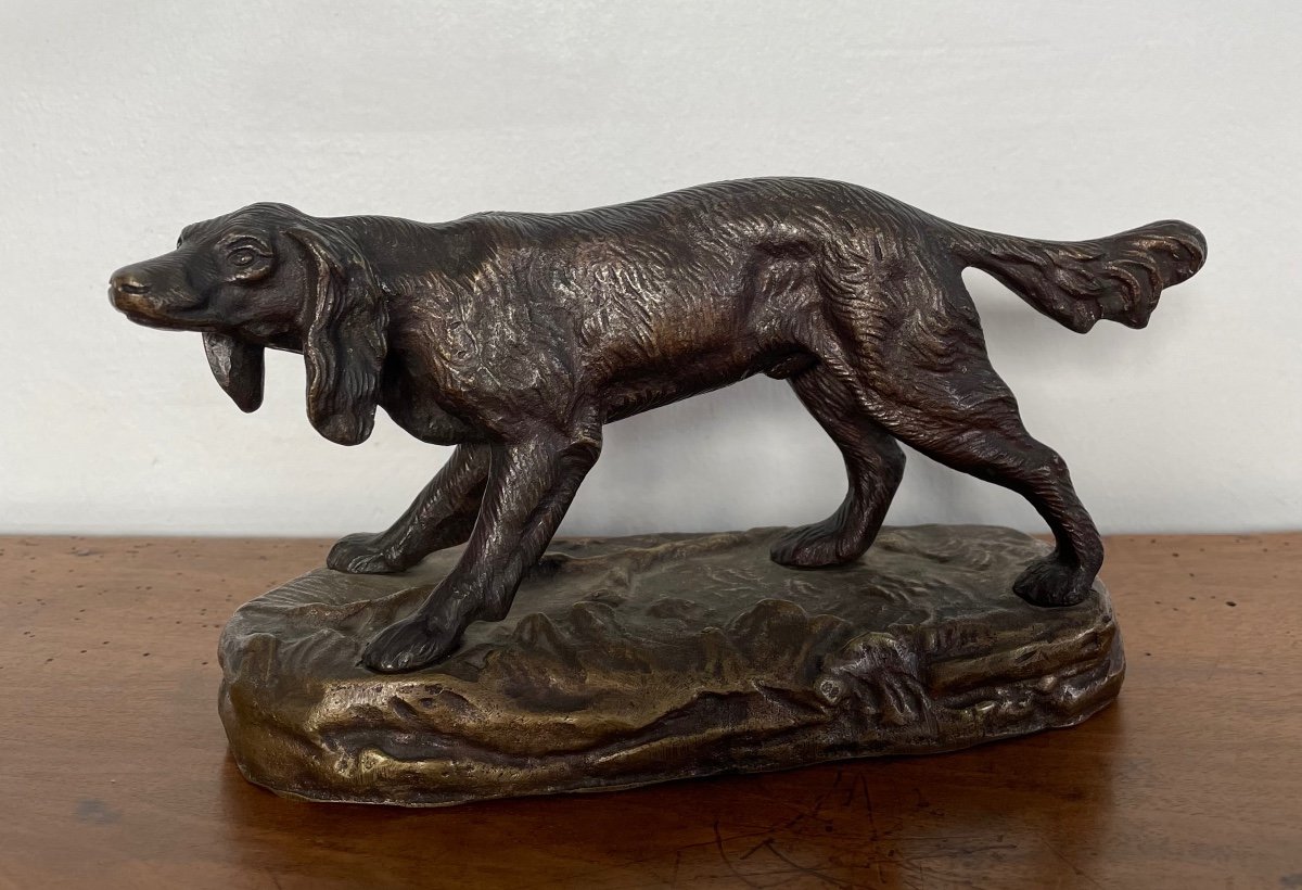 Bronze Spaniel With Brown Patina 