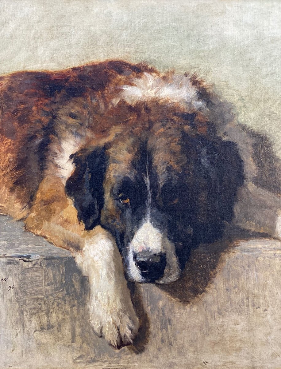 Henriëtte Ronner - Knip (1821 – 1909) - ' Portrait d'Un Chien De Montagne Bernois', Datée 1894-photo-3