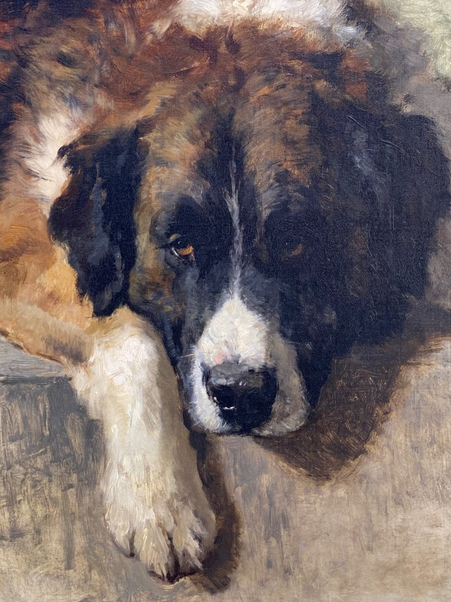 Henriëtte Ronner - Knip (1821 – 1909) - ' Portrait d'Un Chien De Montagne Bernois', Datée 1894-photo-4