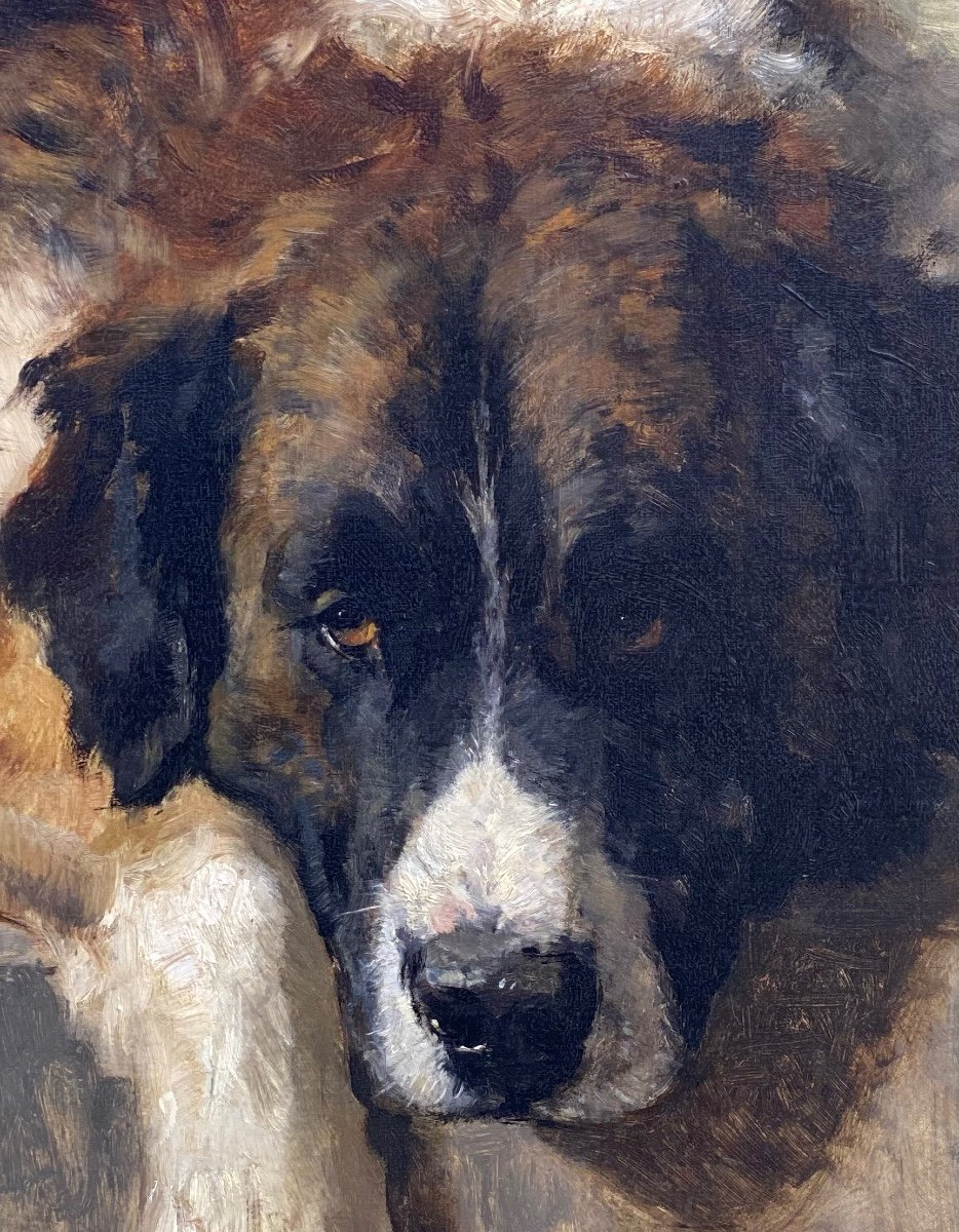 Henriëtte Ronner - Knip (1821 – 1909) - ' Portrait d'Un Chien De Montagne Bernois', Datée 1894-photo-5