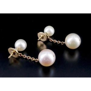 Yellow Gold Cultured Pearl Drop Earrings