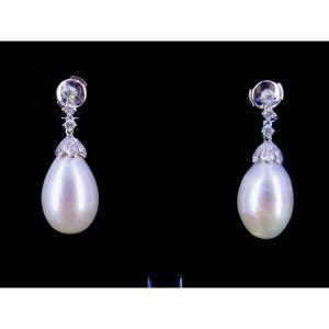 Branar White Gold Pearl Diamond Earrings