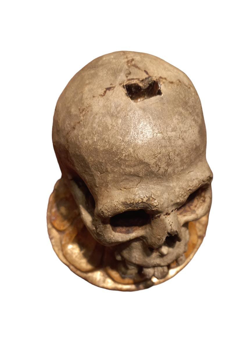 Crâne En Bois Laqué -photo-1