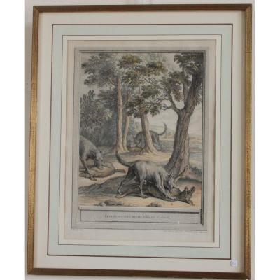 Oudry, Printmaking Color XVIII Eme Framed, Fables De Lafontaine