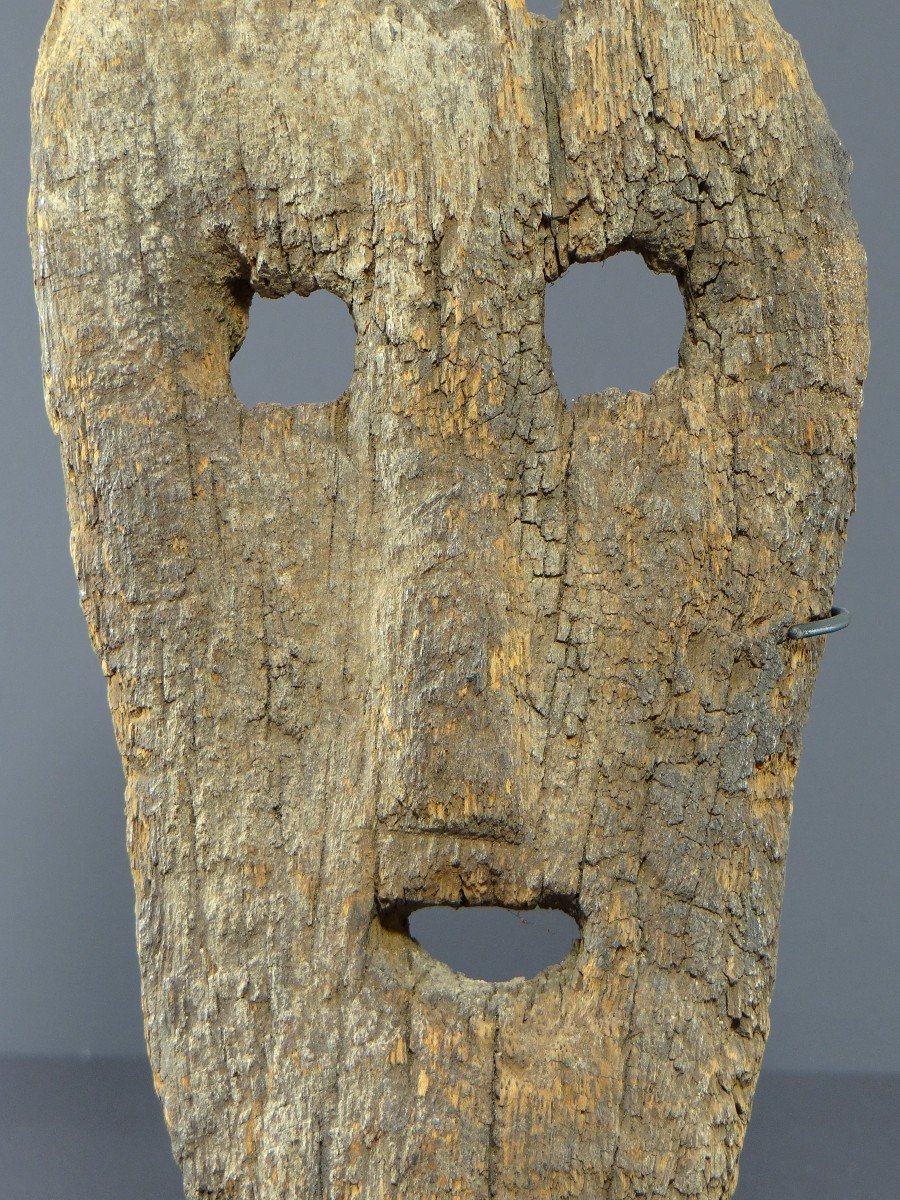 Indonesia, Island Of Timor, 19th Century, Old Anthropomorphic Mask In Very Eroded Wood. -photo-5