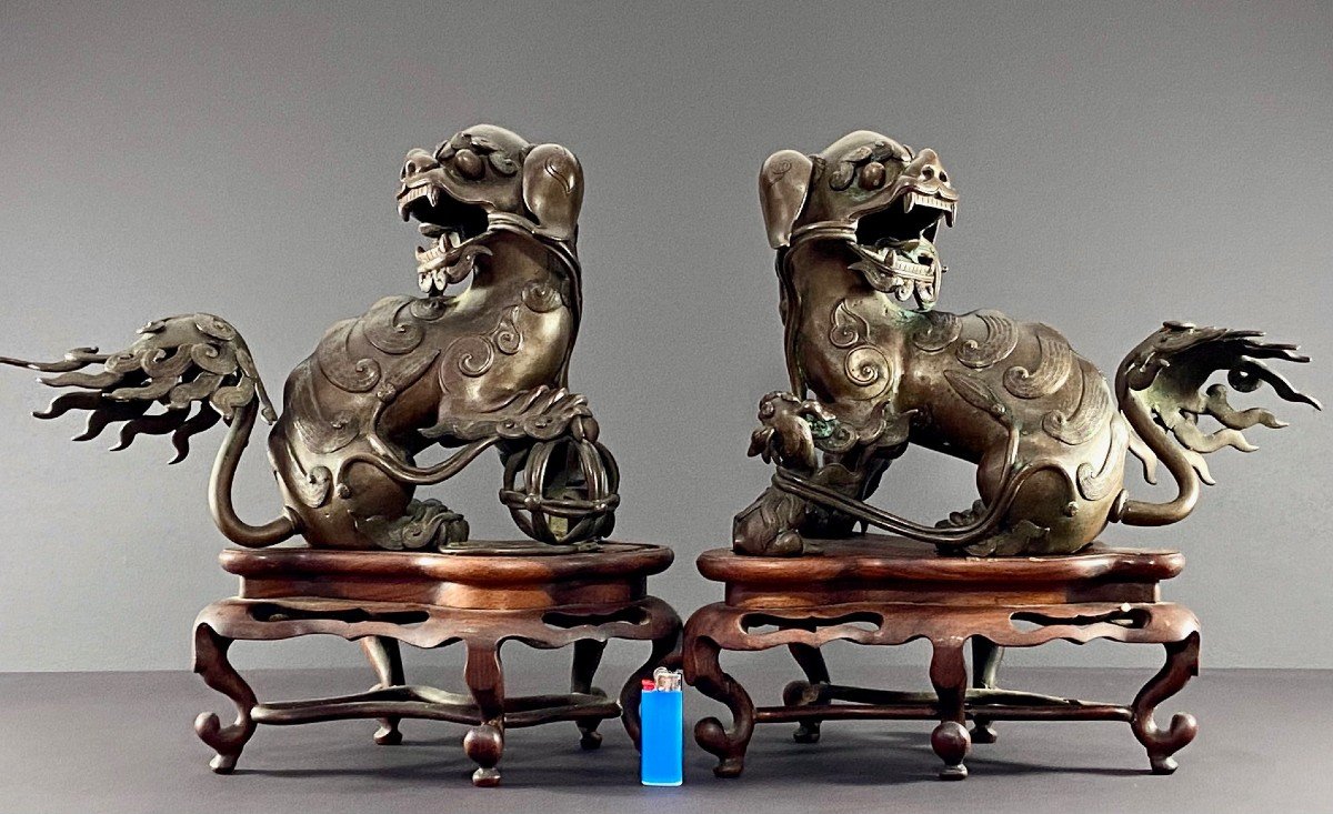 China, 19th Century, Important Pair Of Bronze Fo Dogs On Carved Wooden Bases. -photo-8