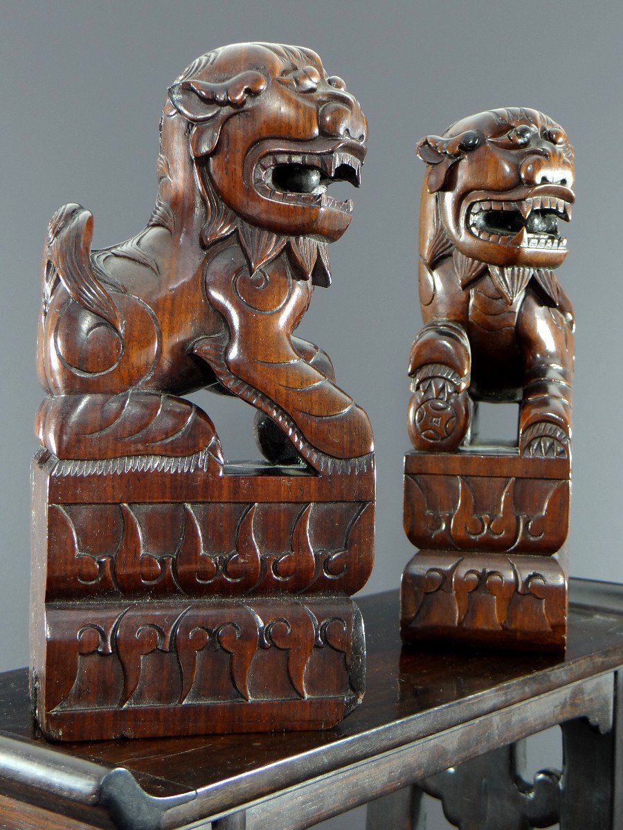 China, Early 20th Century, Pair Of Fo Dogs In Carved Wood Resting On A Console.