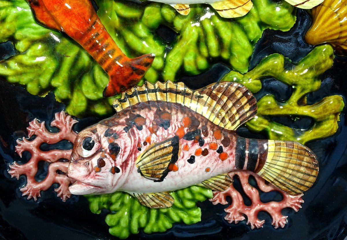 Vallauris, Années 1950, Assiette En Faïence à Décor De Poissons, D’une Langoustine Et Coraux.-photo-3