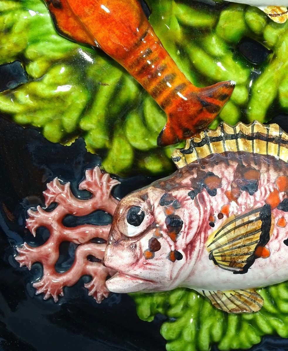 Vallauris, Années 1950, Assiette En Faïence à Décor De Poissons, D’une Langoustine Et Coraux.-photo-4