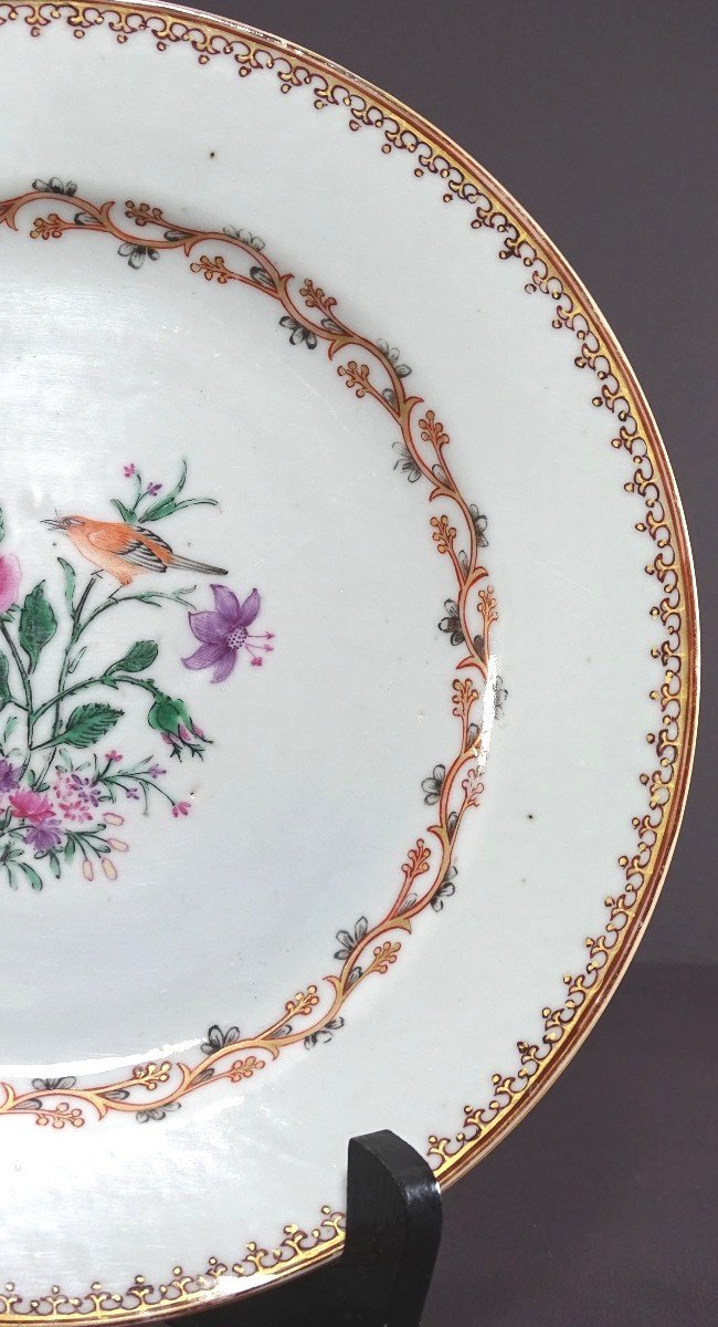 China, 18th Century, East India Company Porcelain Plate Bird And Butterfly. -photo-1