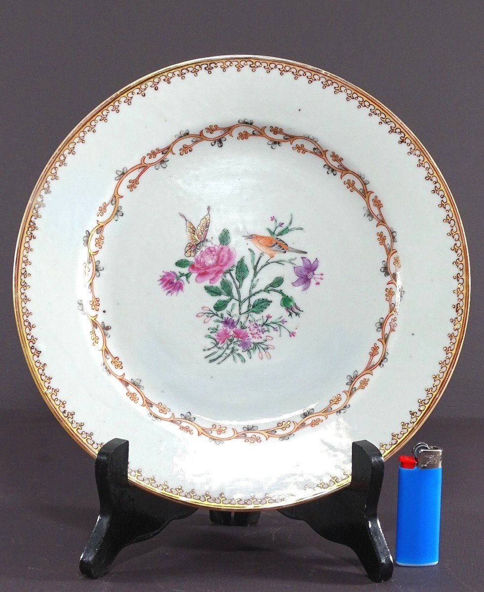 China, 18th Century, East India Company Porcelain Plate Bird And Butterfly. -photo-4