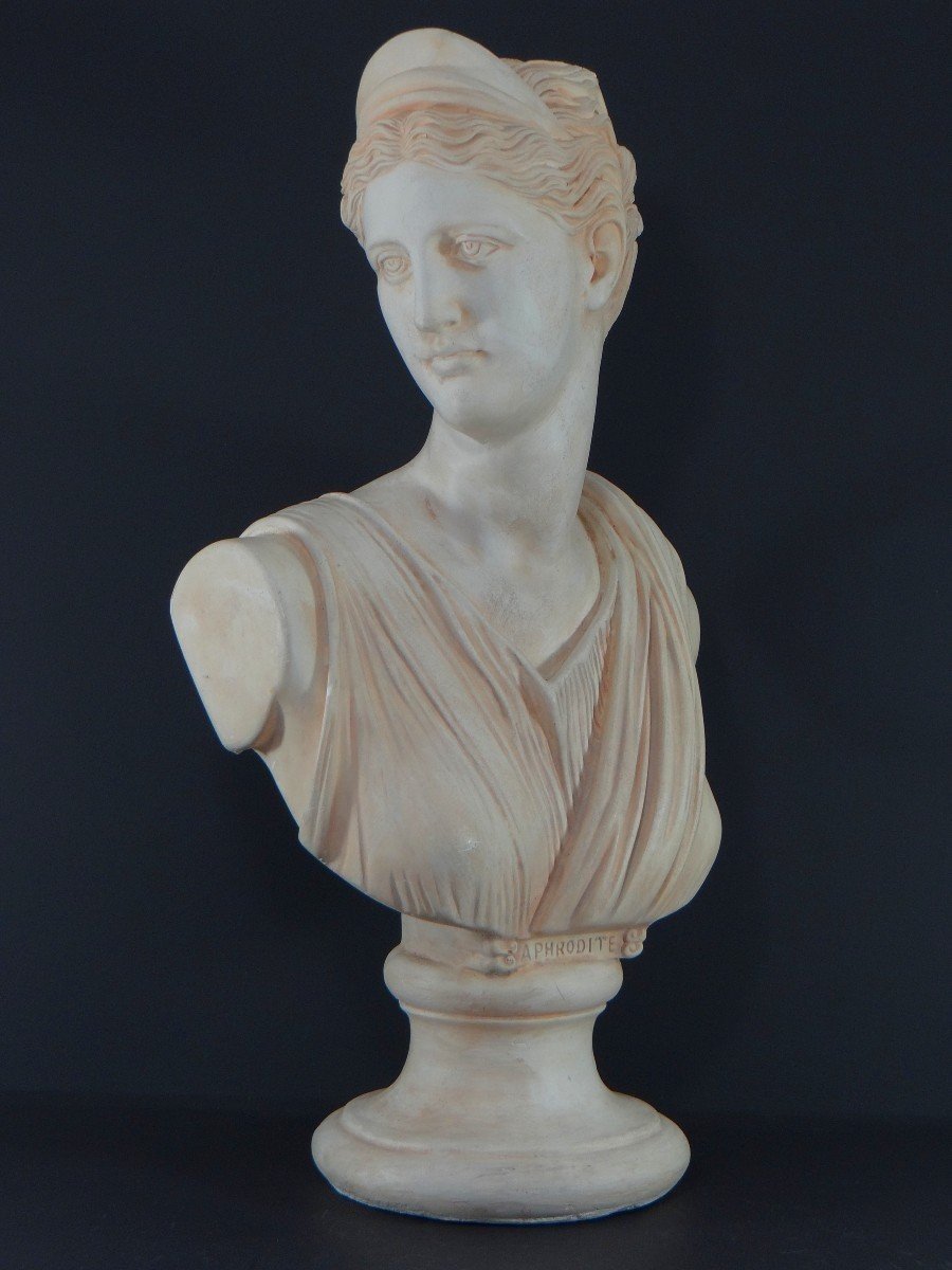 France, 1950s/1960s, Plaster Bust Depicting Aphrodite, Ancient Greek Goddess.-photo-2