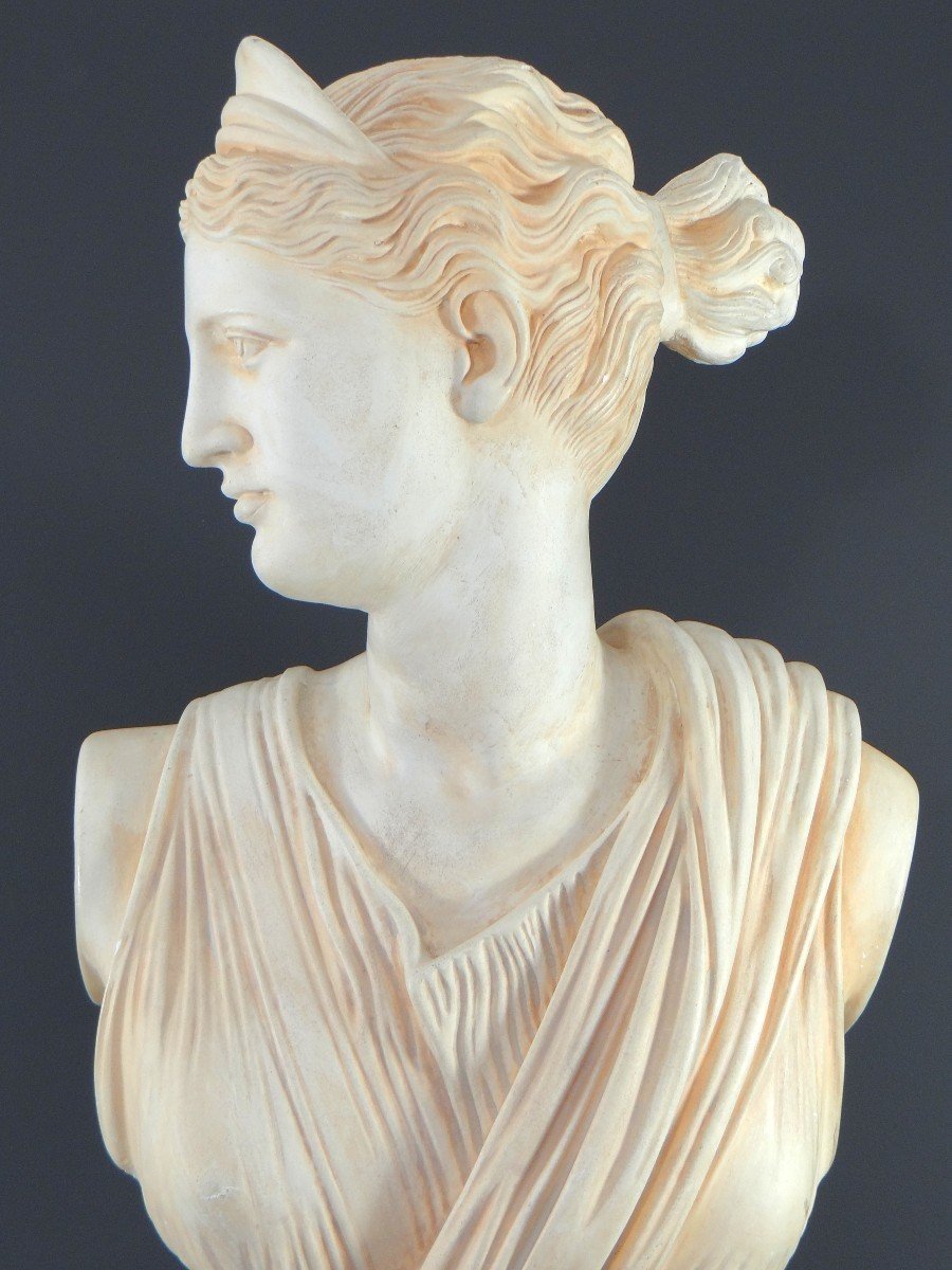 France, 1950s/1960s, Plaster Bust Depicting Aphrodite, Ancient Greek Goddess.-photo-3