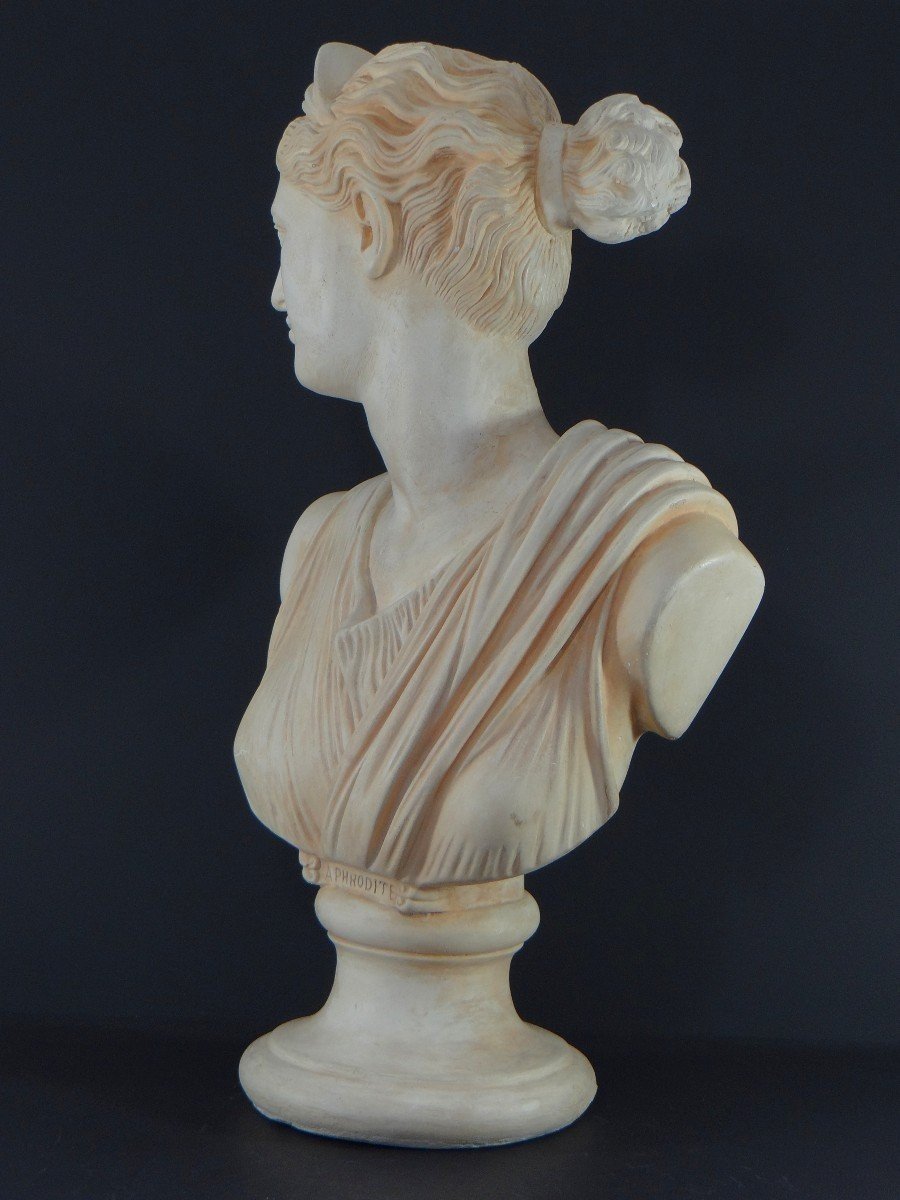 France, 1950s/1960s, Plaster Bust Depicting Aphrodite, Ancient Greek Goddess.-photo-1