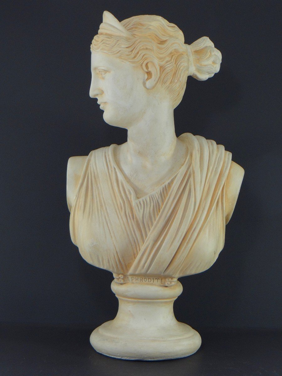 France, 1950s/1960s, Plaster Bust Depicting Aphrodite, Ancient Greek Goddess.-photo-4