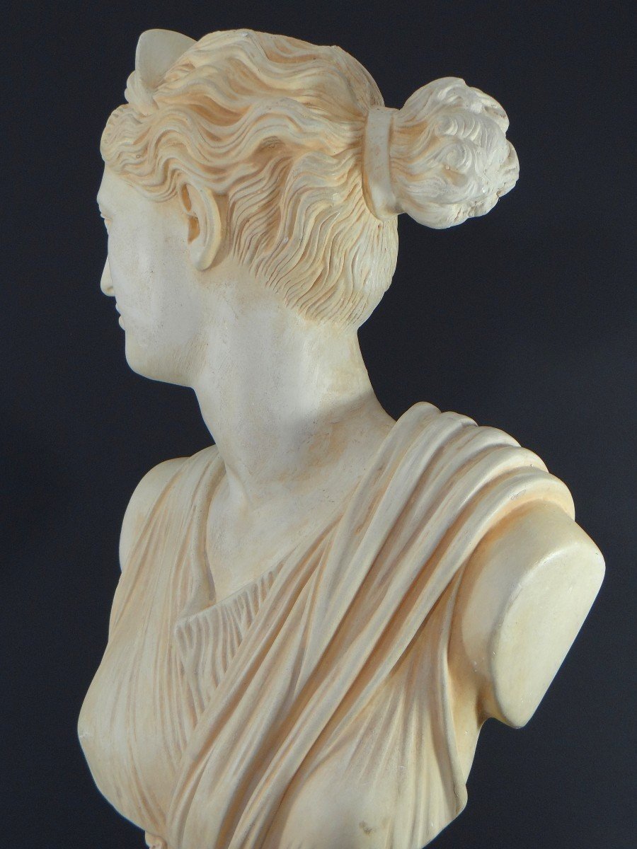 France, 1950s/1960s, Plaster Bust Depicting Aphrodite, Ancient Greek Goddess.-photo-6