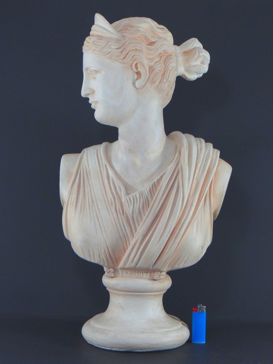 France, 1950s/1960s, Plaster Bust Depicting Aphrodite, Ancient Greek Goddess.-photo-7