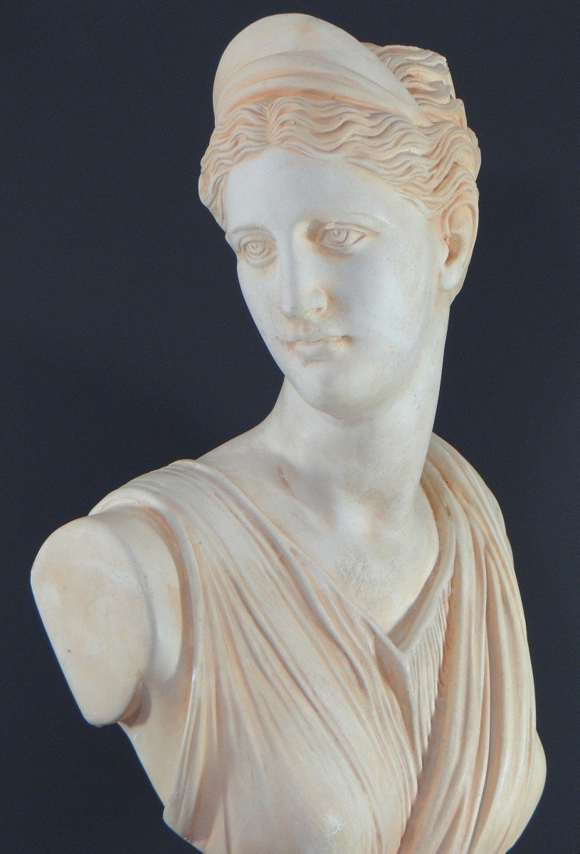 France, 1950s/1960s, Plaster Bust Depicting Aphrodite, Ancient Greek Goddess.