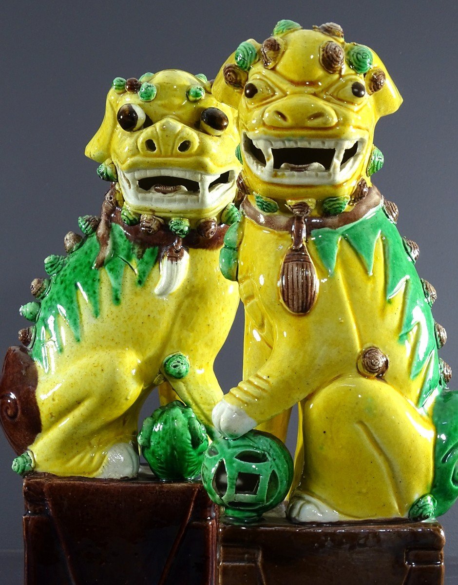 Chine, Années 1950/1960, Grande Paire De Chiens De Fo En Porcelaine Couleurs Sancai. -photo-6