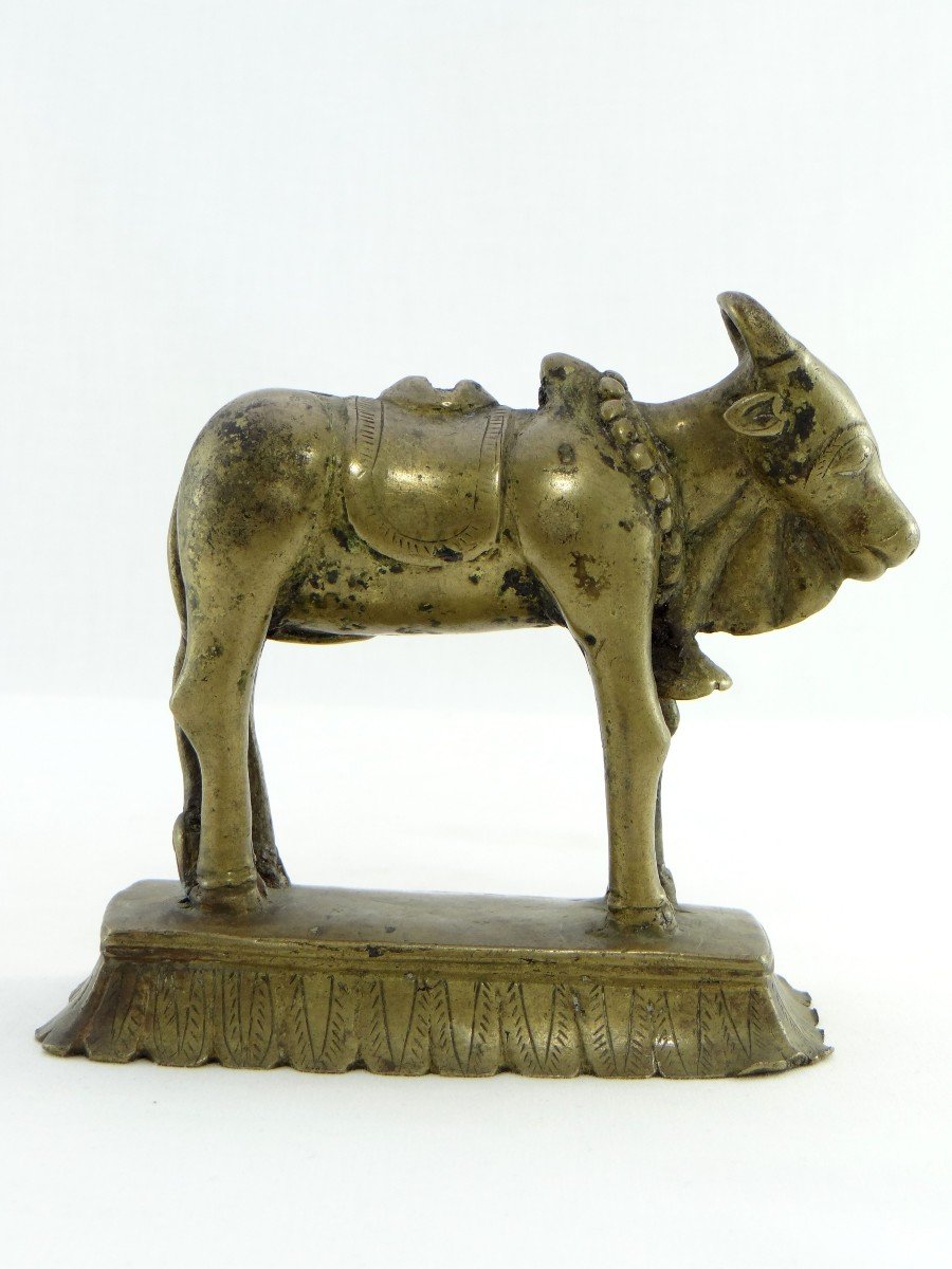 India, XIXth Century, Bronze Statuette Of The Nandi Bull, Mount Of Shiva.-photo-2