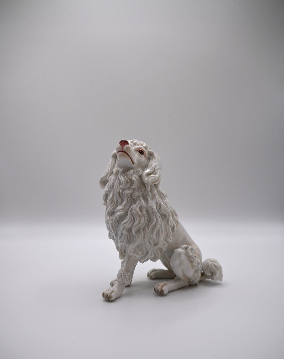 White Royal Poodle, Meissen, 19th Century-photo-4