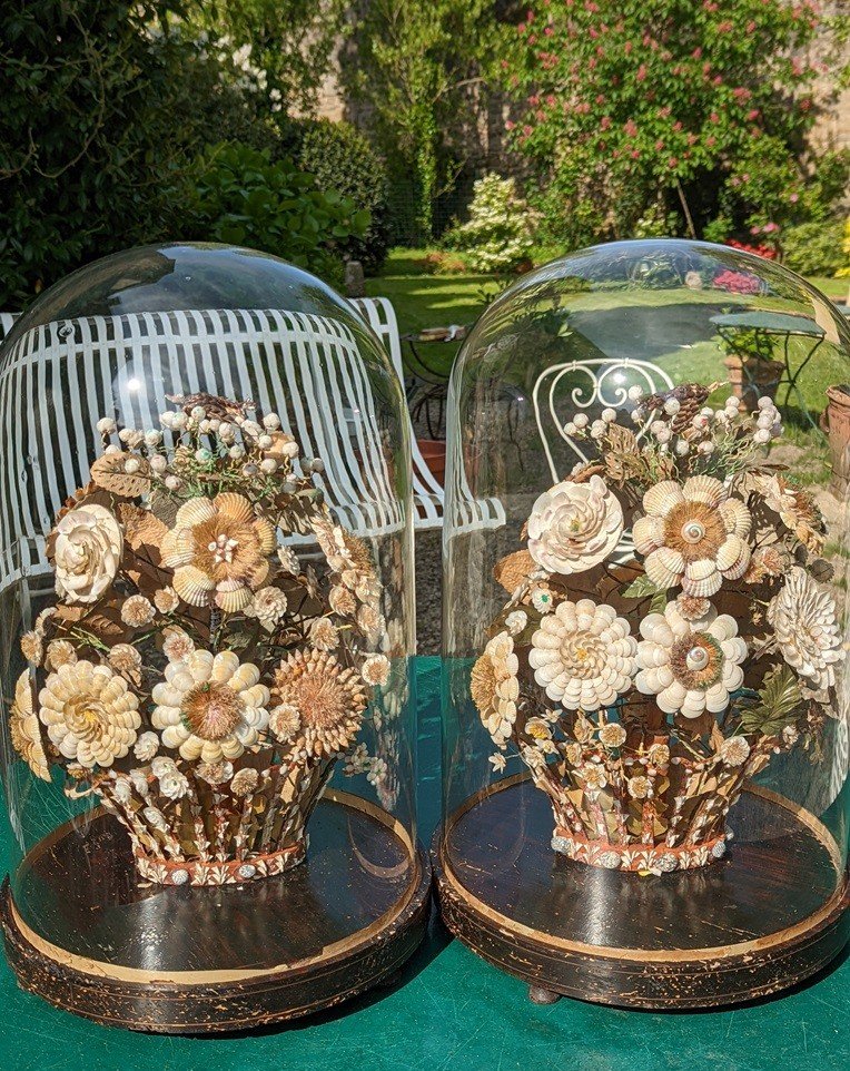 Beautiful Pair Of Large Bouquets In Shells Under Globe.-photo-3
