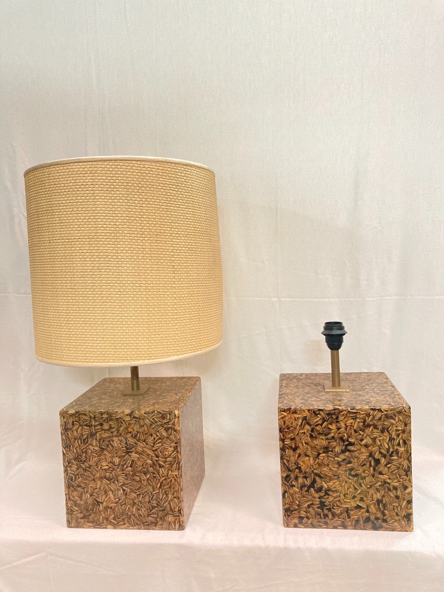 Pair Of Resin Lamps With Inclusion Of Seeds.-photo-1