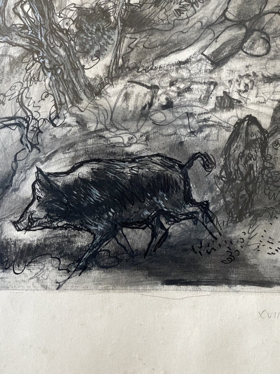 Edy Legrand dessin à l’encre « sanglier dans le Luberon » proche Bonnieux