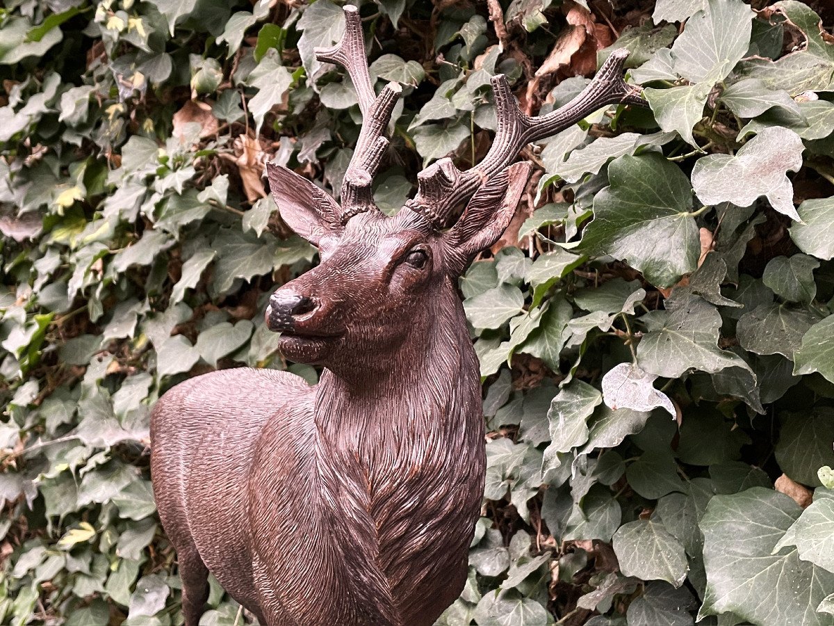 Majestueux cerf aux aguets en bois sculpté par Ernest Heisl Autriche XIXème-photo-3