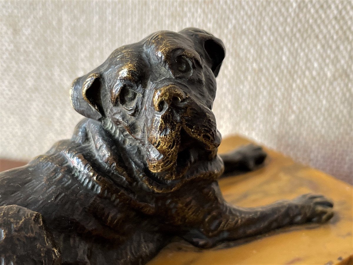 Sculpture de chien en bronze sur terrasse en marbre jaune de Sienne-photo-1