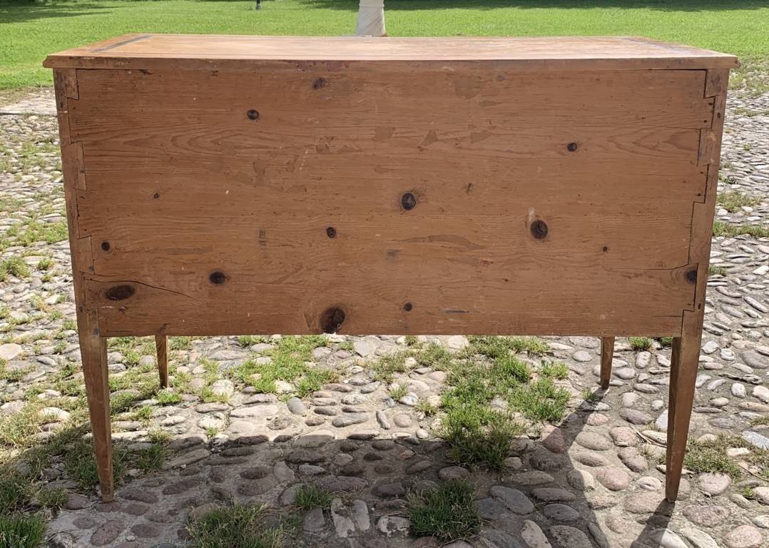 Chest Of Drawers In Lacquered And Painted Wood With Imitation Briar. Tuscany, Late 18th Century-photo-3