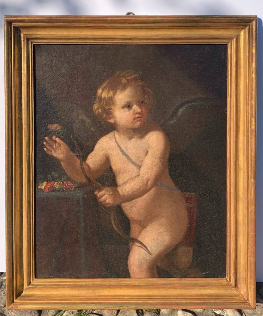 Cercle De Guido Reni (bologne 1575 - Bologne 1642) - Cupidon.-photo-1