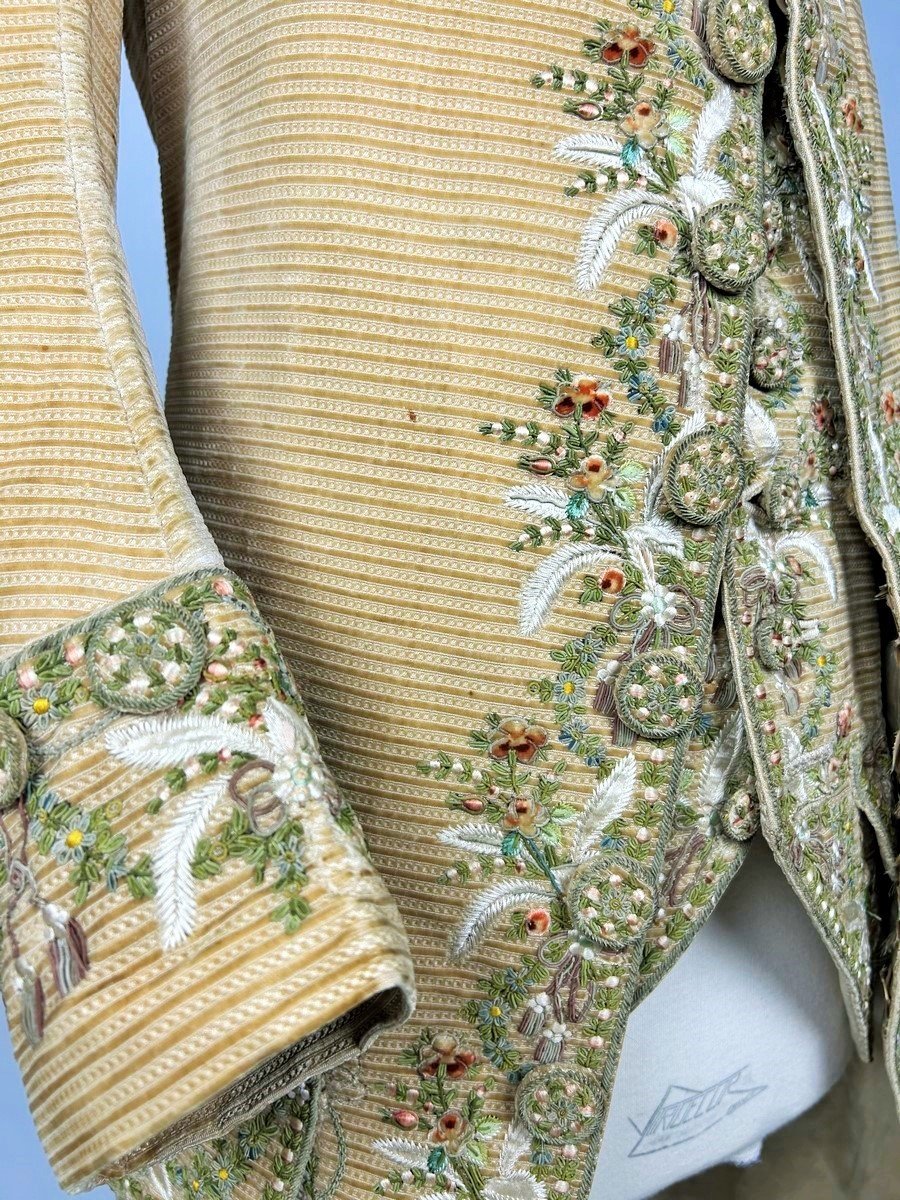 Court Suit And Waistcoat In Embroidered Miniature Velvet And Painted Cannetilles - Europe Circa 1780-photo-1