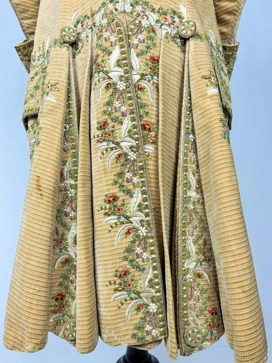 Court Suit And Waistcoat In Embroidered Miniature Velvet And Painted Cannetilles - Europe Circa 1780-photo-6