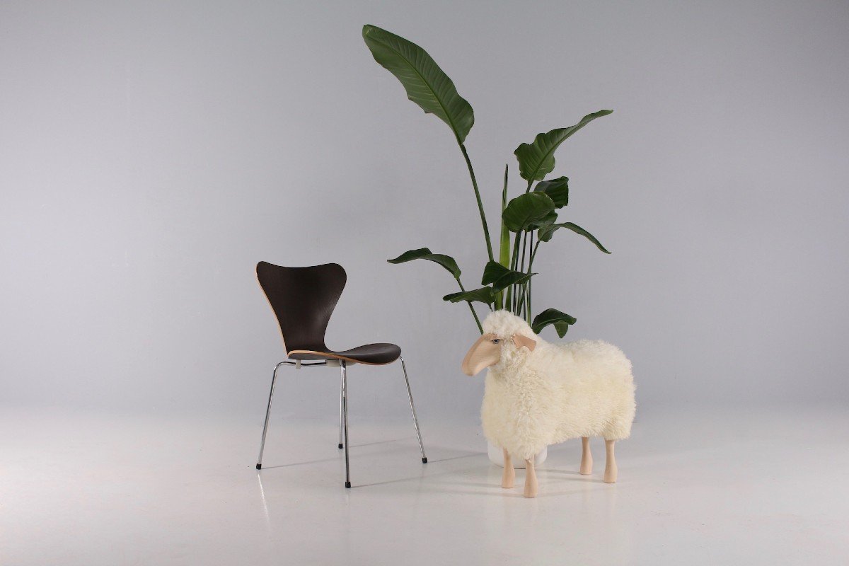 White Sheep Hanns Peter Krafft-photo-2