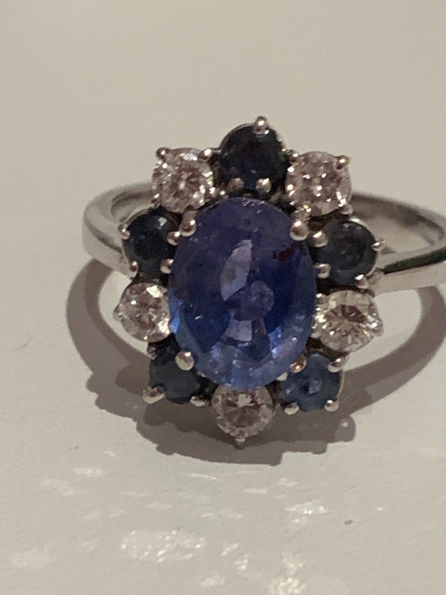 1815 – White Gold Tanzanite Sapphires Diamond Ring-photo-3