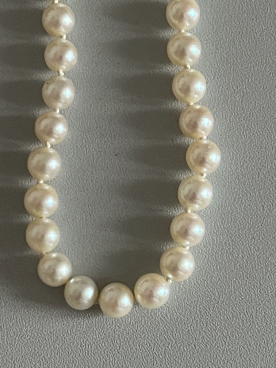 4933- Akoya Pearl Necklace Yellow Gold Clasp-photo-3