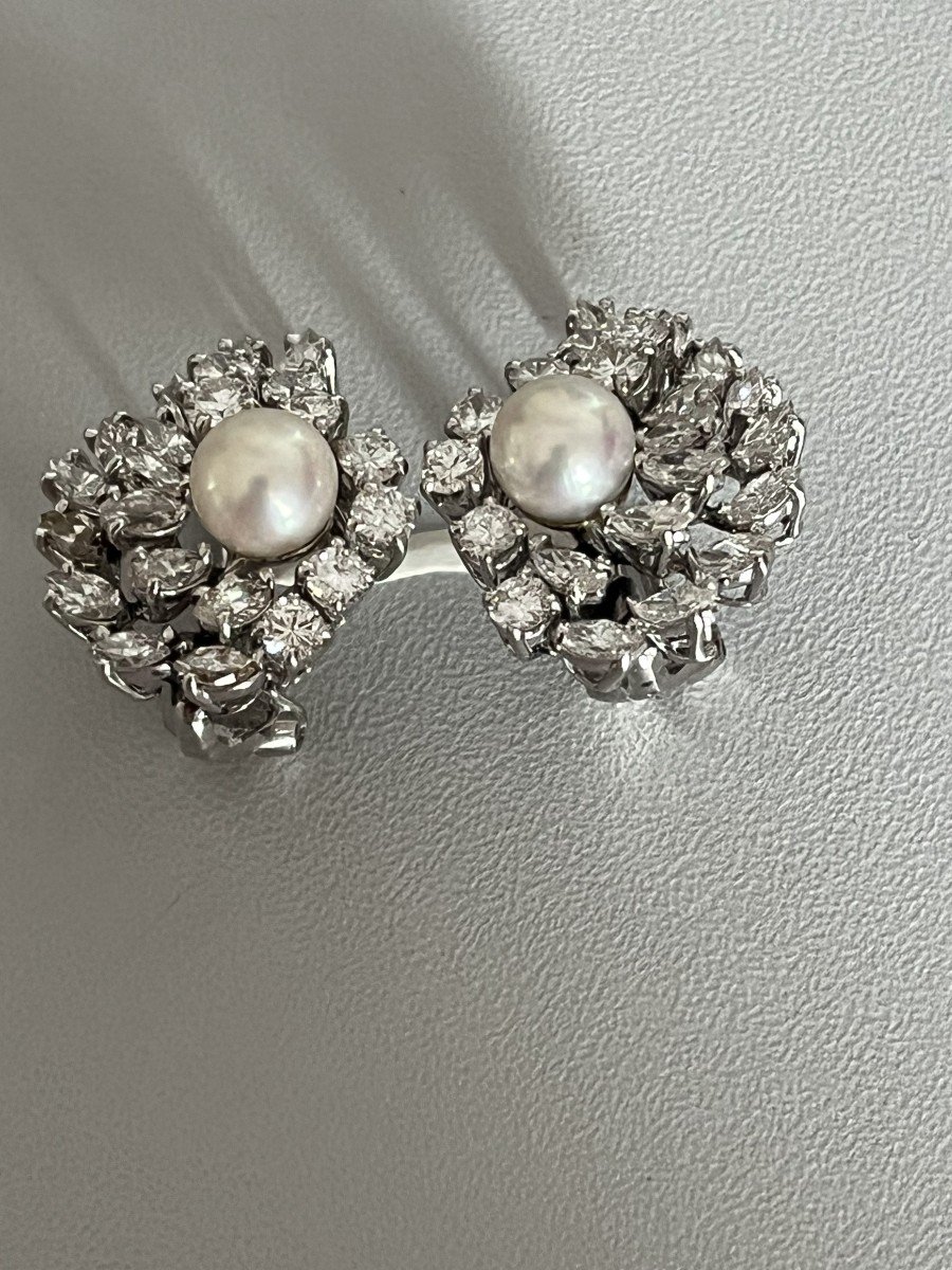 5397b- Boucles d'Oreilles Or Gris Perles Diamants-photo-3