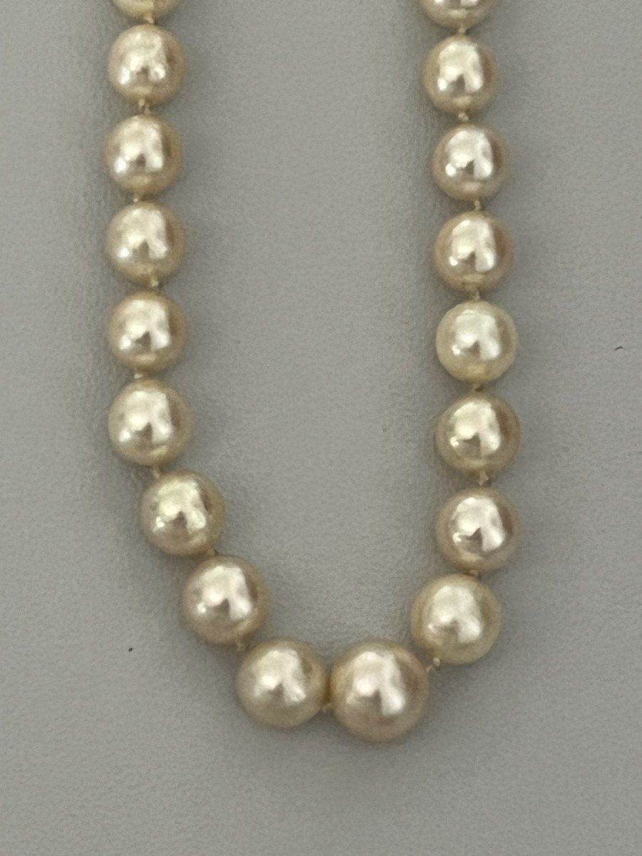 3939- Cultured Pearl Necklace-photo-3