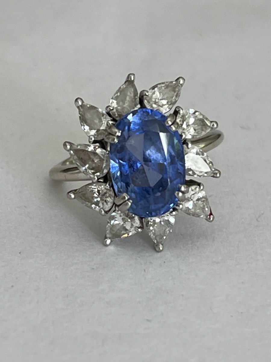 5873- Marguerite Ring White Gold Sapphire 4.00 Ct Diamonds-photo-3